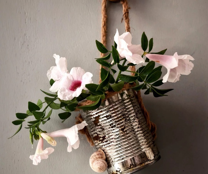 گالری عکس های خوزه ملادو از اسپانیا