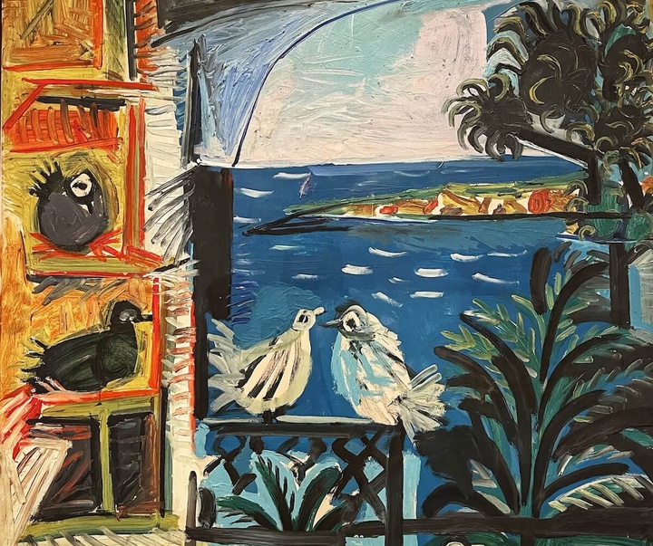 doves cannes picasso museum barcelona