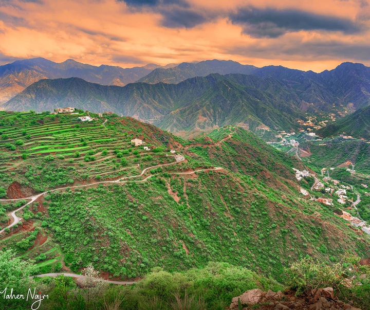 گالری آثار عکاسی ماهر نجم از عربستان