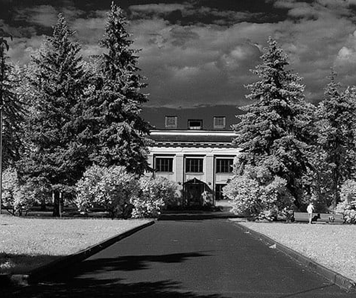 گالری آثار عکاسی فدریکو فورتینی از آرژانتین