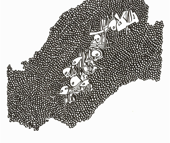 رضا عابدینی