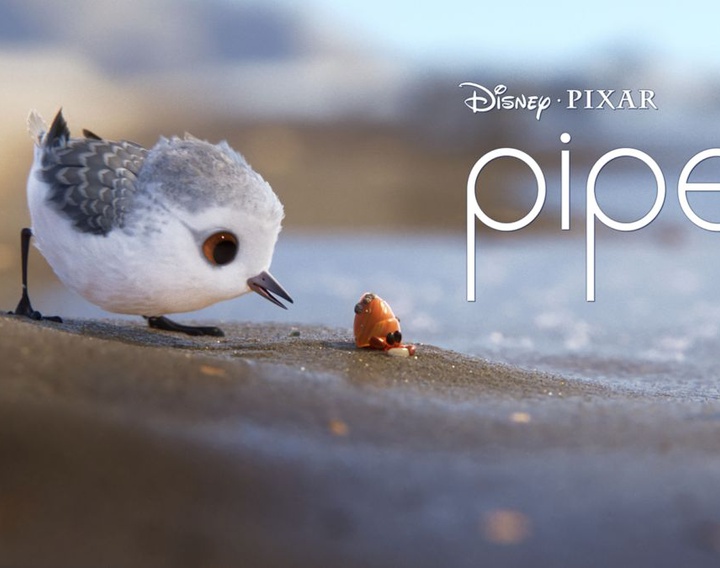 بررسی و معرفی فیلم‌ پایپر Piper + فیلم