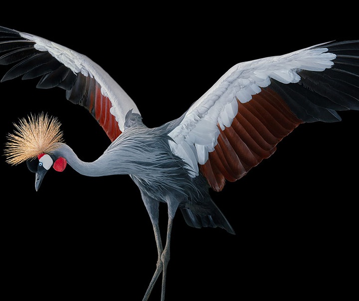 گالری عکس‌های خلاقانه تیم فلچ از بریتانیا