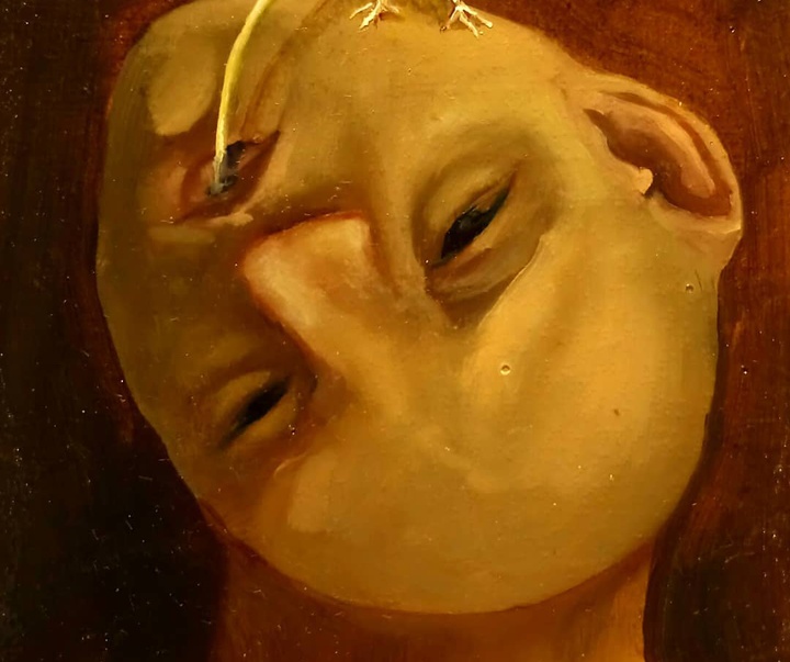 گالری آثار تصویرسازی نسیم داوری از ایران