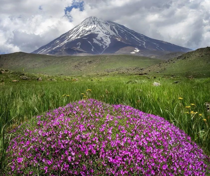 گالری عکس های نیما جبرائیلی از ایران