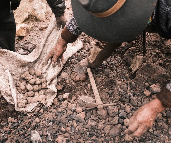نیکولاس کاسترمنز
