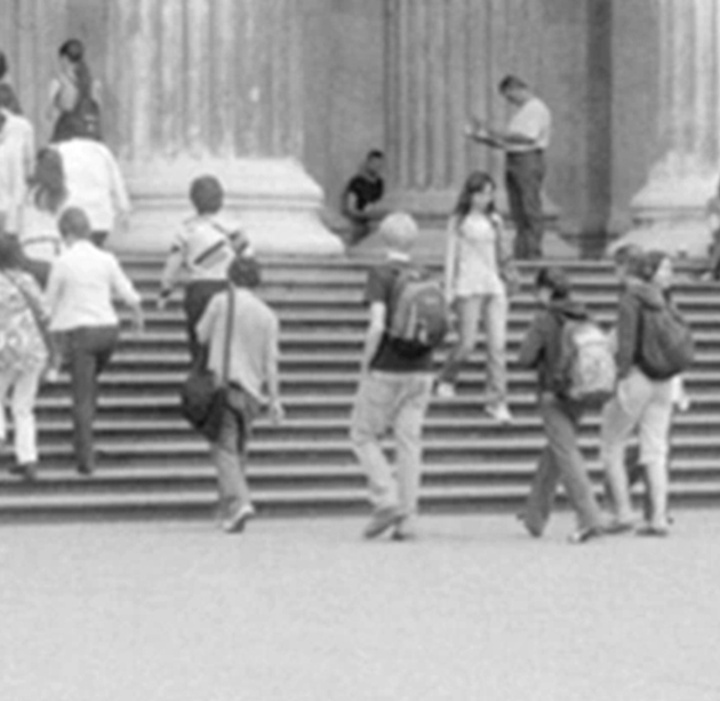 گالری آثار عکاسی کری می ویمز از آمریکا