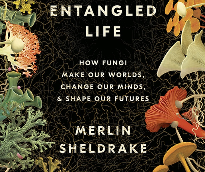 entangled life sm