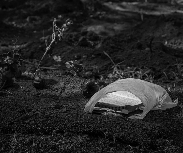 گالری آثار عکاسی لالو د آلمیدا از برزیل - قسمت اول