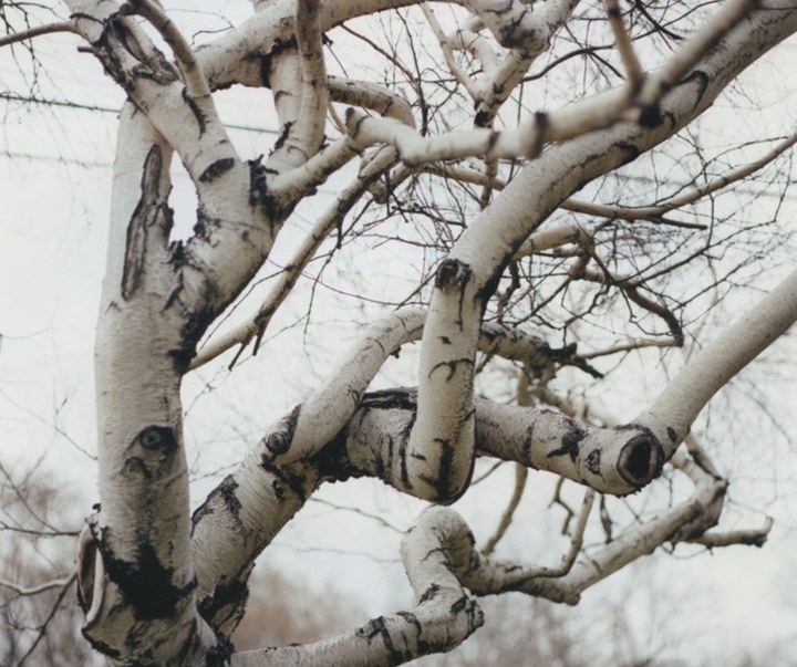 گالری آثار عکاسی گرگوری هالپرن از آمریکا