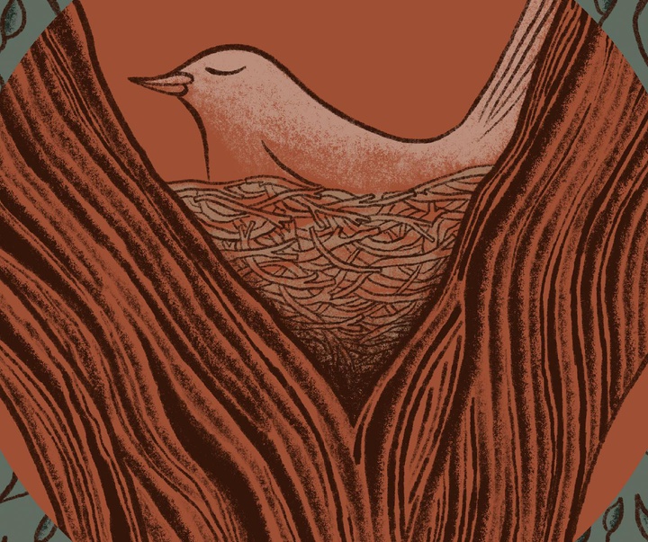 گالری تصویرسازی‌های کاتریل مارتینز از آرژانتین