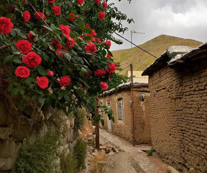 گالری عکس‌‌های سمیه علی‌بیان از ایران