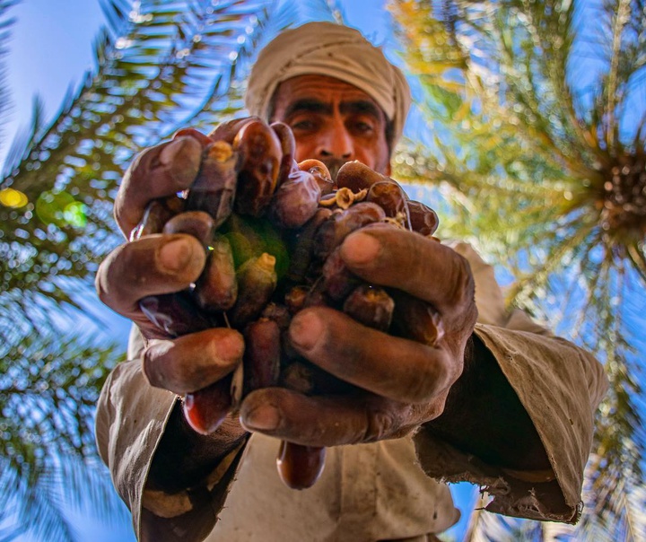 ياسمين حسين نژاد