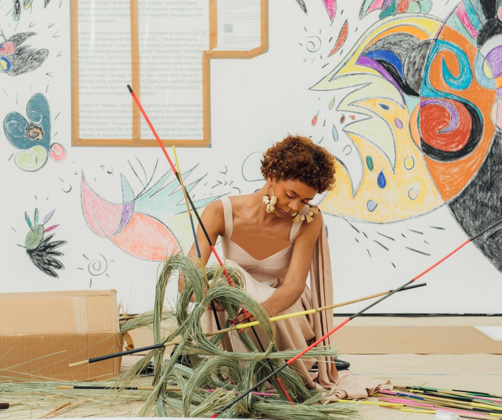 گالری تصویرسازی‌های تادسکیا از برزیل