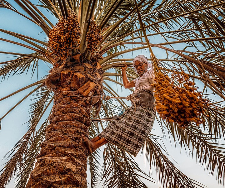 منتخب آثار عکاسی { مصطفی عبدالهادی } از بحرین ( بخش دوم )