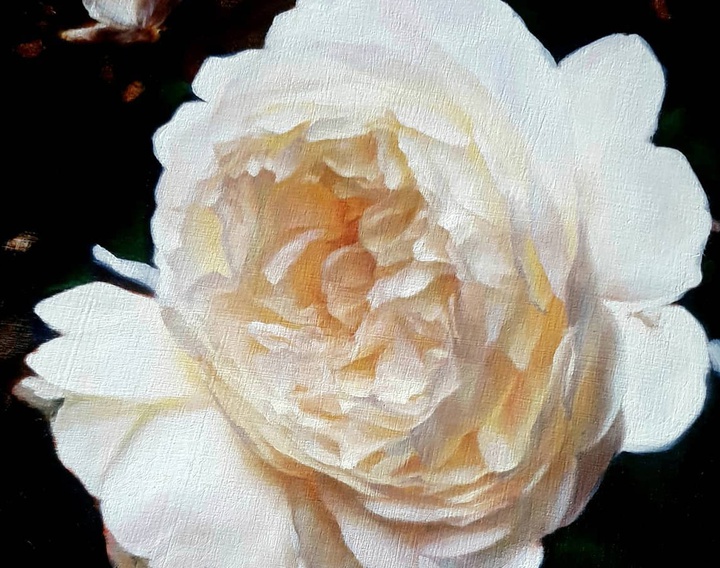 گالری نقاشی های استفانی راجرز از انگلیس