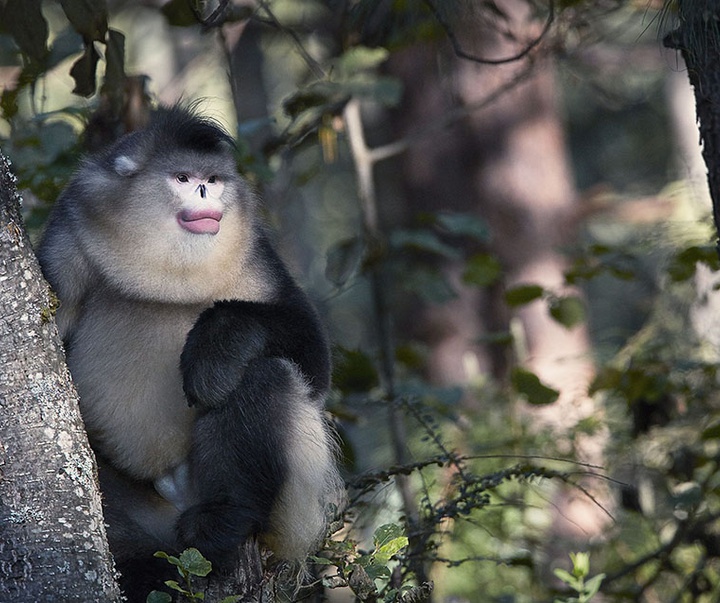 گالری عکس‌های خلاقانه تیم فلچ از بریتانیا
