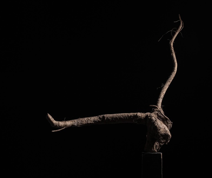 گالری عکس‌های استودیو پاتو کاتز از آرژانتین