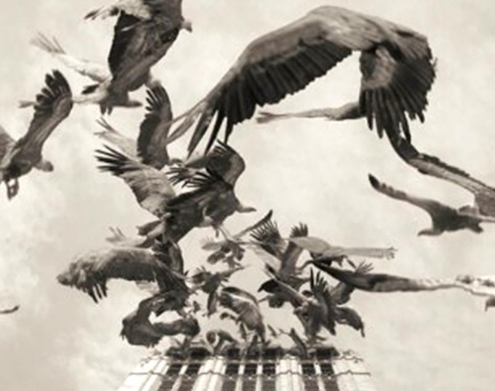 گالری آثار عکاسی اوریول یولانچ از اسپانیا