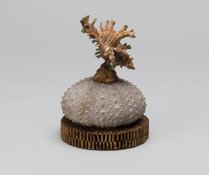 گالری آثار مجسمه و حجم ایلین آگار هنرمند آرژانتینی - بریتانیایی