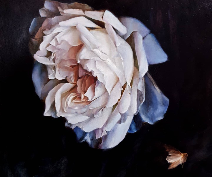 گالری نقاشی های استفانی راجرز از انگلیس