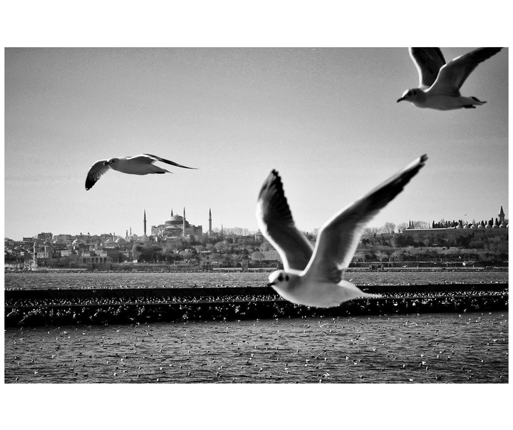 گالری آثار عکاسی صدف بیلگین کالای از ترکیه