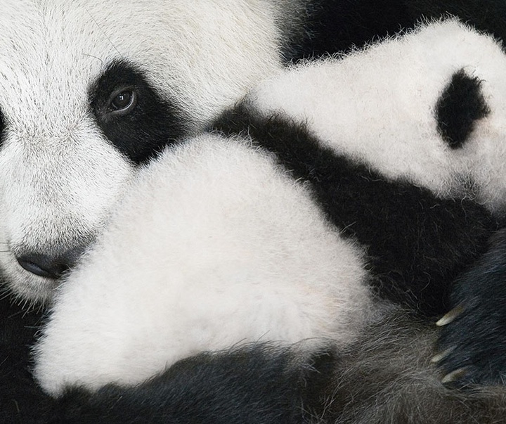 گالری عکس‌های خلاقانه تیم فلچ از بریتانیا