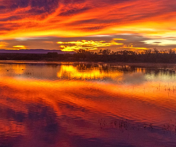 گالری آثار عکاسی جیم زاکرمن از برزیل - قسمت اول