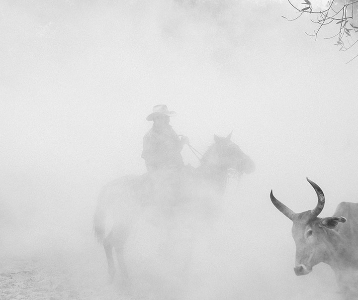 گالری آثار عکاسی خوانیتا اسکوبار از کلمبیا