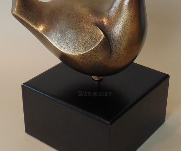 گالری آثار حجم کارلوس کاستاندو از اسپانیا