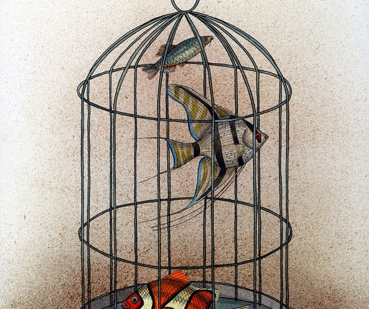 گالری آثار کارتون ایوان کواچیک از اسلواکی