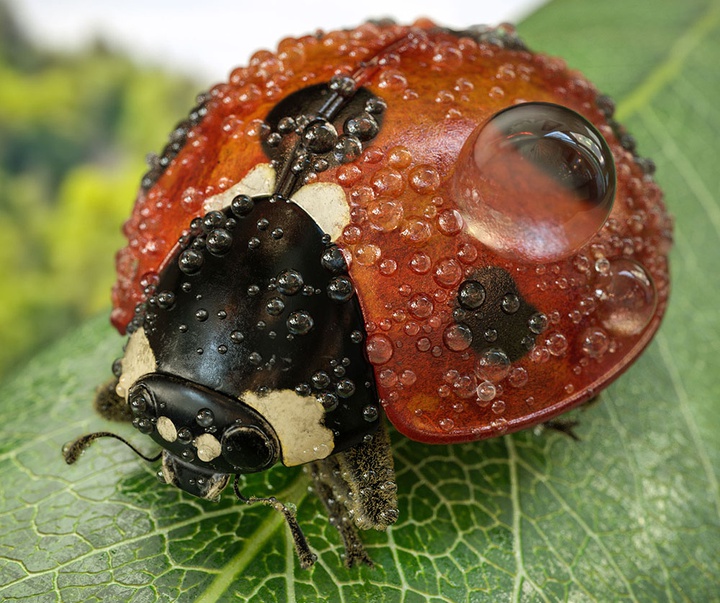 گالری آثار گرافیک سه بعدی خوزه کارلوس از کاستاریکا