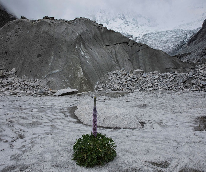 گالری آثار عکاسی لالو د آلمیدا از برزیل - قسمت دوم