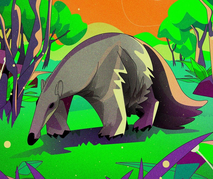 گالری تصویرسازی‌های دنیس فریتاس از برزیل