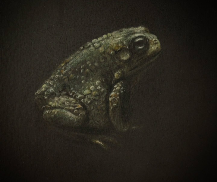 گالری نقاشی‌های لولا ماری از آرژانتین