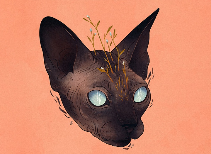 گالری آثار تصویرسازی جنا بارتون از آمریکا