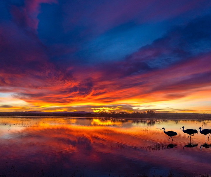 گالری آثار عکاسی جیم زاکرمن از برزیل - قسمت اول