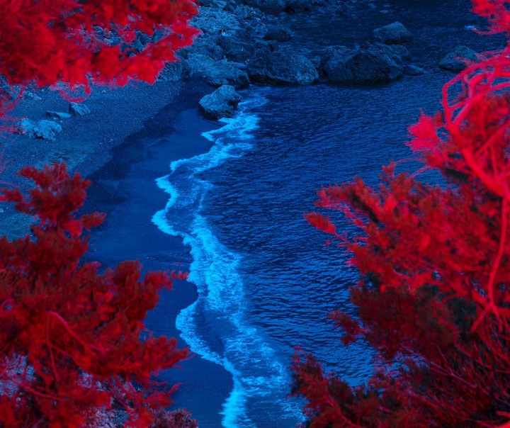 آلیسا مارتینوا