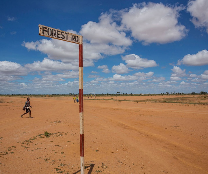 گالری آثار عکاسی لالو د آلمیدا از برزیل - قسمت دوم