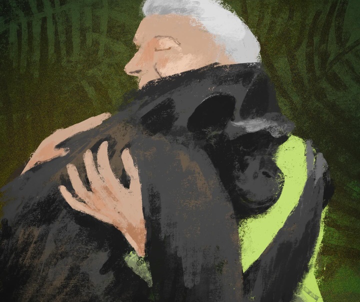 جنی بلومفیلد