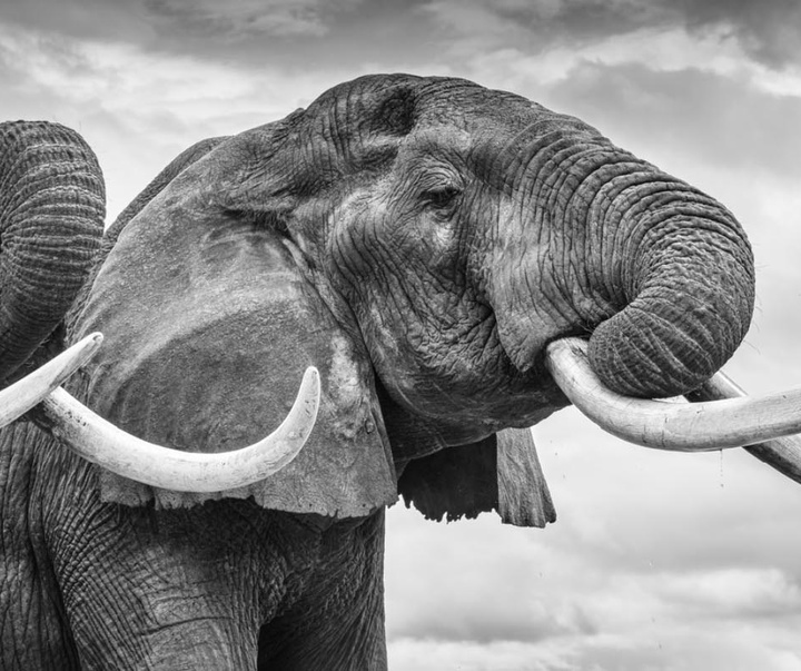 گالری عکس های جیمز لوین از انگلیس