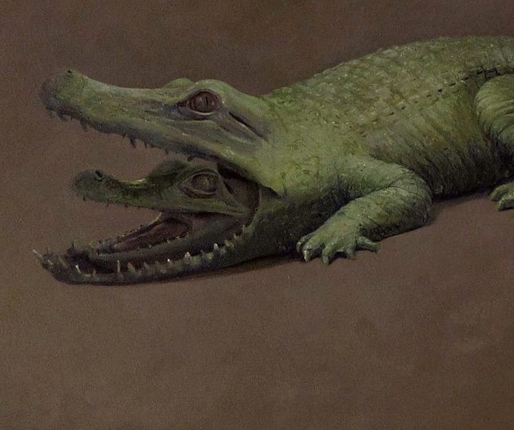 گالری نقاشی‌های لولا ماری از آرژانتین