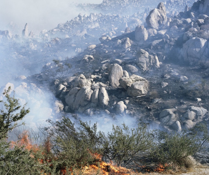 گالری آثار عکاسی گرگوری هالپرن از آمریکا