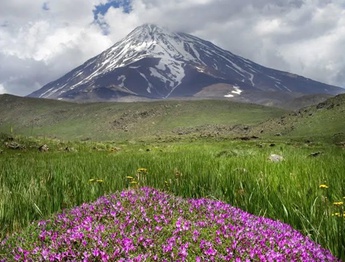 گالری عکس های نیما جبرائیلی از ایران