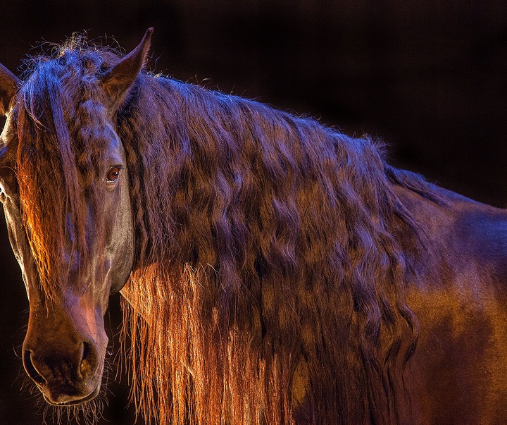 گالری آثار عکاسی جیم زاکرمن از برزیل - قسمت دوم