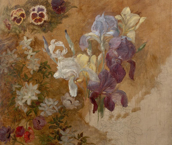 ماری براکموند