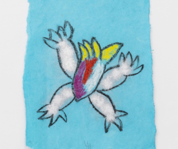 گالری تصویرسازی‌های تادسکیا از برزیل