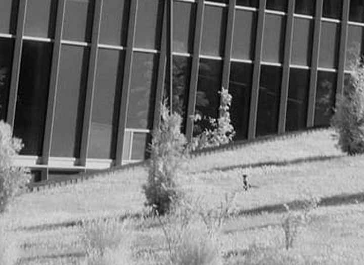 گالری آثار عکاسی فدریکو فورتینی از آرژانتین