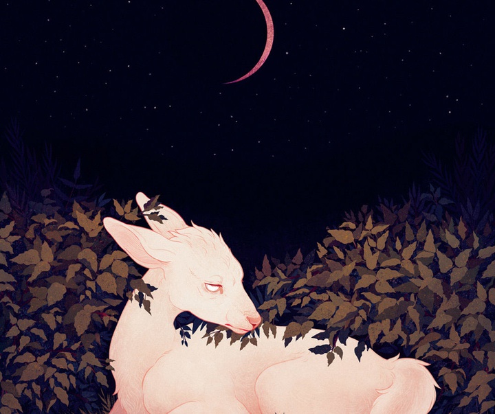 گالری آثار تصویرسازی جنا بارتون از آمریکا