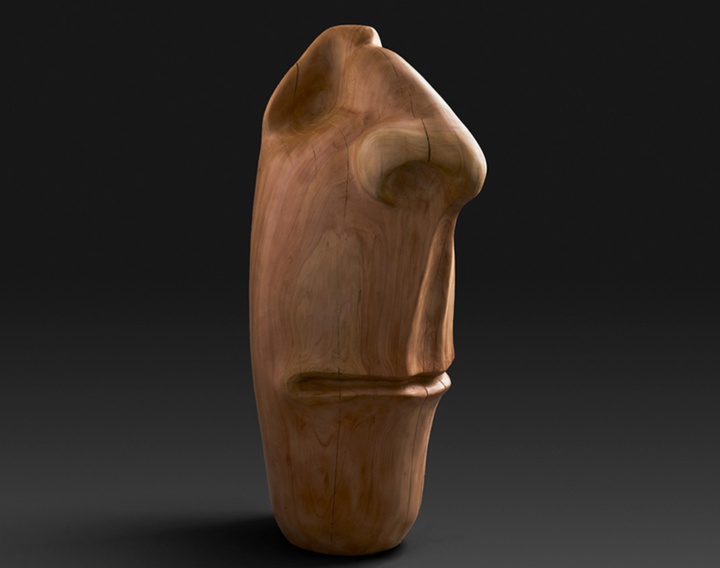 گالری آثار حجم آندرس آگیره از اکوادور